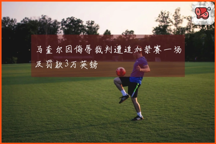 马奎尔因侮辱裁判遭追加禁赛一场及罚款3万英镑